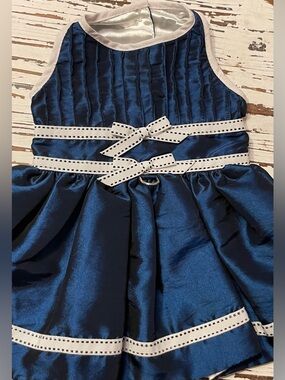 Navy Satin Pet Dress with White Ribbon Accents
Medium